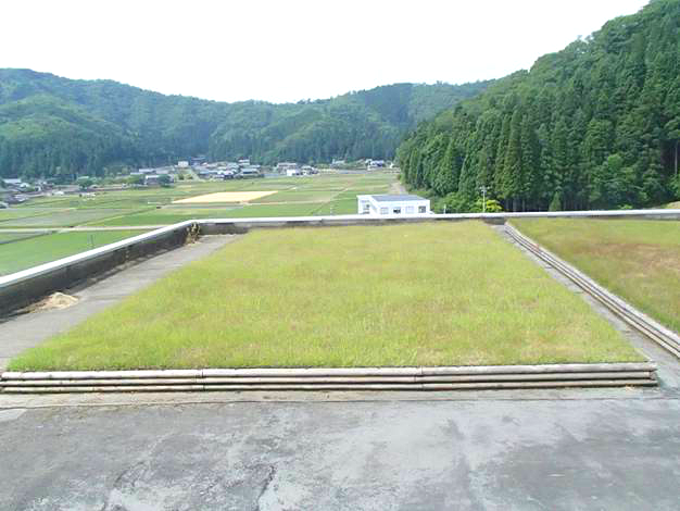 4 后期守护治理成效事俘（铺设实现3年后）_看图王.png